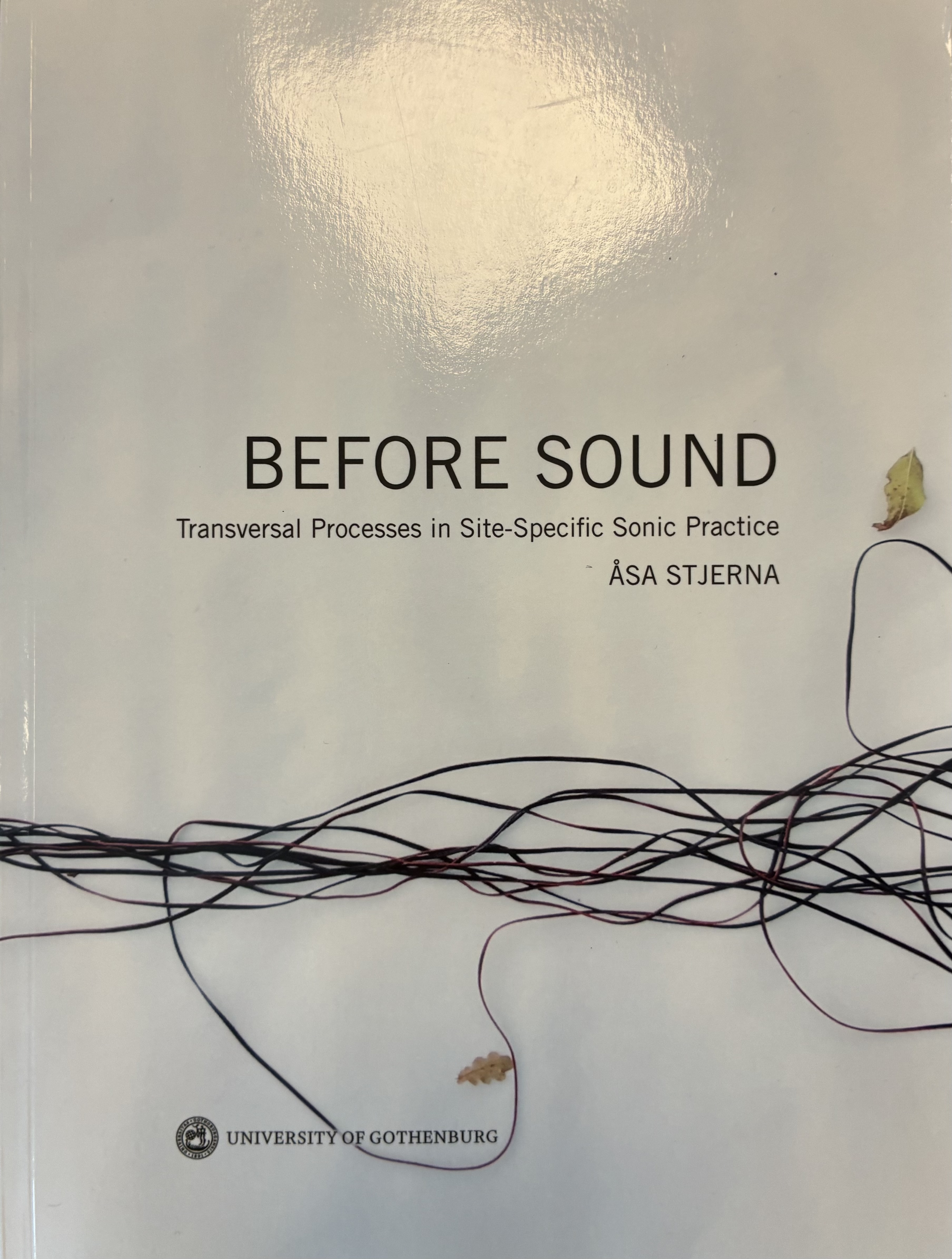 BEFORE SOUND: Transversal Processes in Site-Specific Sonic Practice