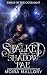 Stalked by the Shadow Fae: ...