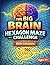 The Big Brain Hexagon Maze ...