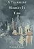 A Transient Moment in Time by Anieka E Sarmer