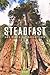 Steadfast 2027: 365 Days of Devotion