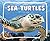 Sea Turtles (Knowledge Builders: Ocean Animals)