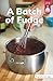 A Batch of Fudge (Stairway Decodables Nonfiction Step 4)