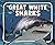 Great White Sharks (Knowledge Builders: Ocean Animals)