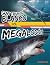 Gran tiburón blanco vs. meg...
