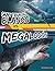 Gran tiburón blanco vs. megalodón (Spark: Batallas bestiales) (Spanish Edition)