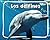 Los delfines (Spark: Animales del océano) (Spanish Edition)