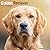 Avonside Publishing Ltd, Golden Retriever 2027 Calendar | Square Wall Calendar | Dog Breed Gift | Plastic Free Packaging