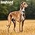 Avonside Publishing Ltd, Greyhound 2027 Calendar | Square Wall Calendar | Dog Breed Gift | Plastic Free Packaging