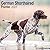 Avonside Publishing Ltd, German ShortHaired Pointer 2027 Calendar | Square Wall Calendar | Dog Breed Gift | Plastic Free Packaging