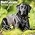 Avonside Publishing Ltd, Black Labrador Retriever 2027 Calendar | Square Wall Calendar | Dog Breed Gift | Plastic Free Packaging