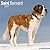 Avonside Publishing Ltd, Saint Bernard 2027 Calendar | Square Wall Calendar | Dog Breed Gift | Plastic Free Packaging