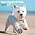 Avonside Publishing Ltd, West Highland Terrier 2027 Calendar | Square Wall Calendar | Dog Breed Gift | Plastic Free Packaging