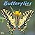 Avonside Publishing Ltd, Butterflies 2027 Calendar | Square Wall Calendar | Animal Gift | Plastic Free Packaging