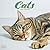 Avonside Publishing Ltd, Cats 2027 Calendar |MONDAY START Square Wall Calendar | Cat Gift | Plastic Free Packaging