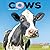 Avonside Publishing Ltd, Cows 2027 Calendar |MONDAY START Square Wall Calendar | Farm Animal Gift | Plastic Free Packaging