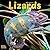 Avonside Publishing Ltd, Lizards 2027 Calendar | Square Wall Calendar | Reptile Gift | Plastic Free Packaging