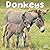 Avonside Publishing Ltd, Donkeys 2027 Calendar |MONDAY START Square Wall Calendar | Animal Gift | Plastic Free Packaging