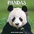 Avonside Publishing Ltd, Pandas 2027 Calendar | Square Wall Calendar | Animal Gift | Plastic Free Packaging