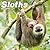 Avonside Publishing Ltd, Sloths 2027 Calendar | Square Wall Calendar | Animal Gift | Plastic Free Packaging