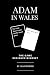 Adam in Wales: The Game Des...