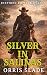 SILVER IN SALINAS by Orris Slade