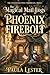 The Magical Mail Logs of Phoenix Firebolt by Paula Lester