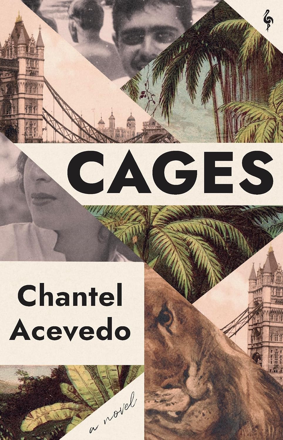 Cages (Hardcover)