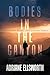 Bodies in the Canyon