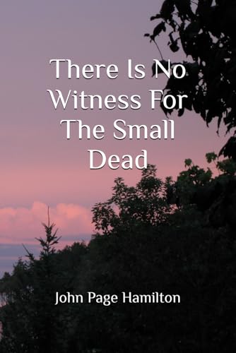 There Is No Witness For The Small Dead (Paperback)