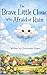 The Brave Little Cloud Who ...