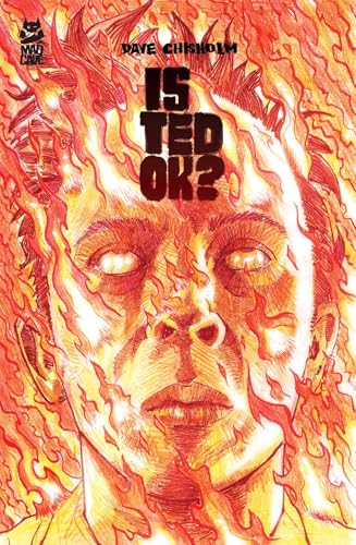 Is Ted OK? (Paperback)