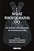 What Photographs Do: The ma...