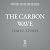 The Carbon Wave by Leah C. Stokes