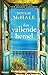 Een vallende hemel (Dutch Edition)
