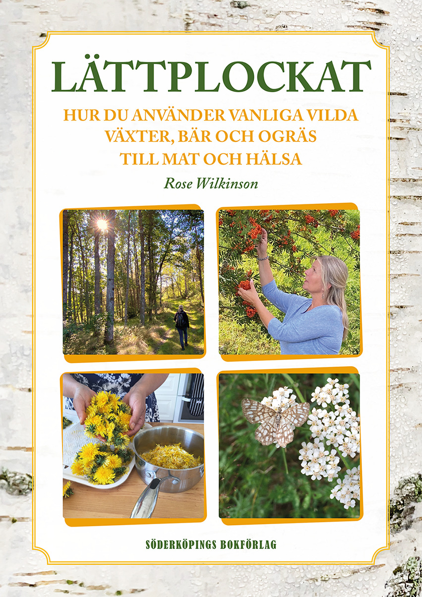Lättplockat: Hur du använder vanliga vilda växter, bär och ogräs till mat och hälsa