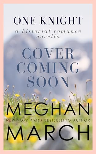 One Knight (ebook)