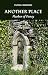Another Place by Fiona Cameron