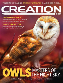 Creation Magazine Volume 42 Number 3 July-September 2020