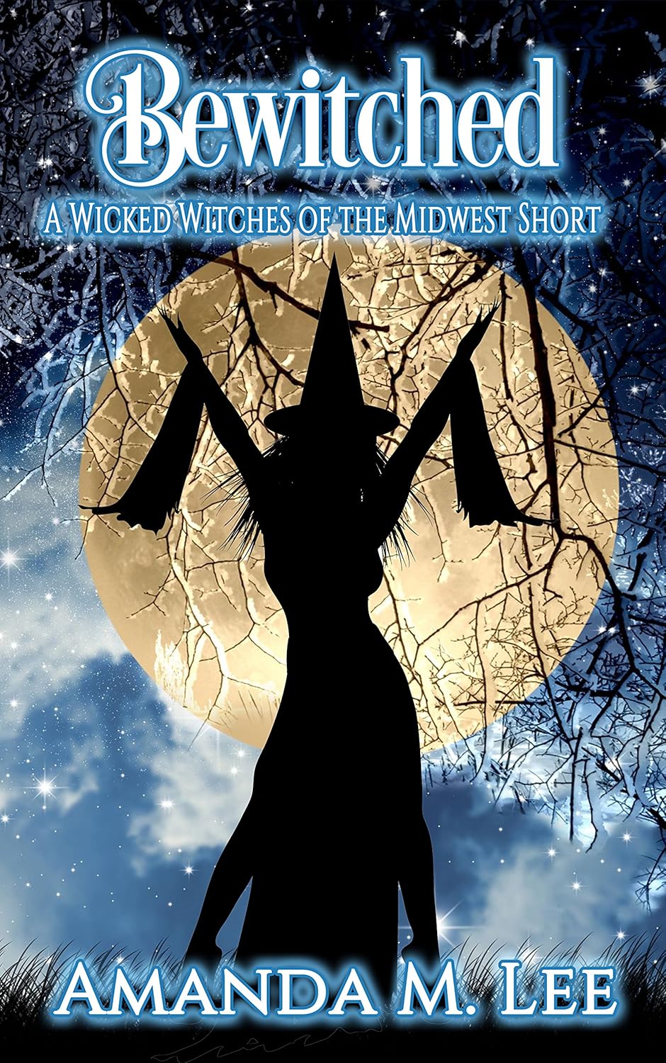 Bewitched (Wicked Witches of the Midwest Shorts, #6)