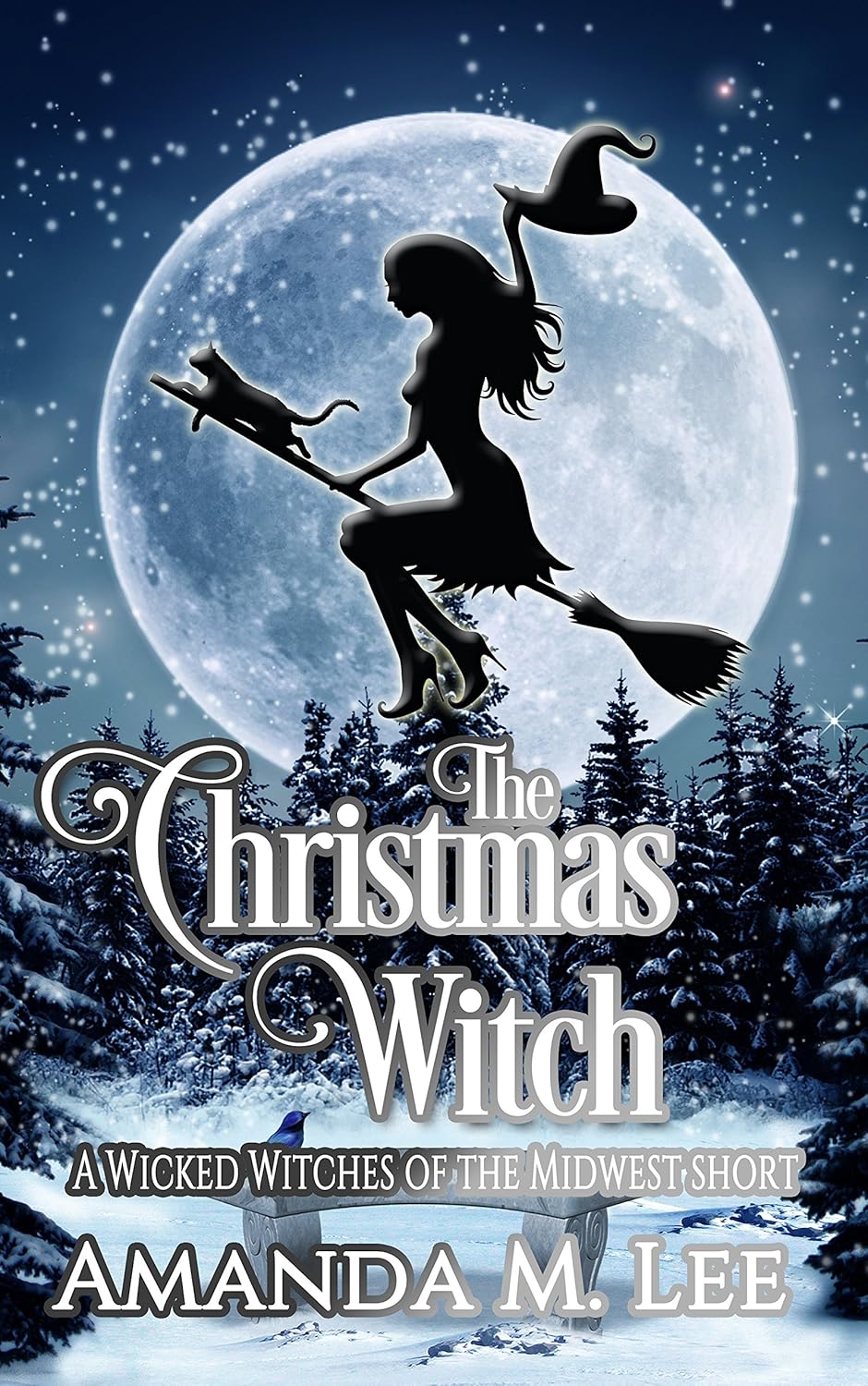 The Christmas Witch (Wicked Witches of the Midwest Shorts, #5)