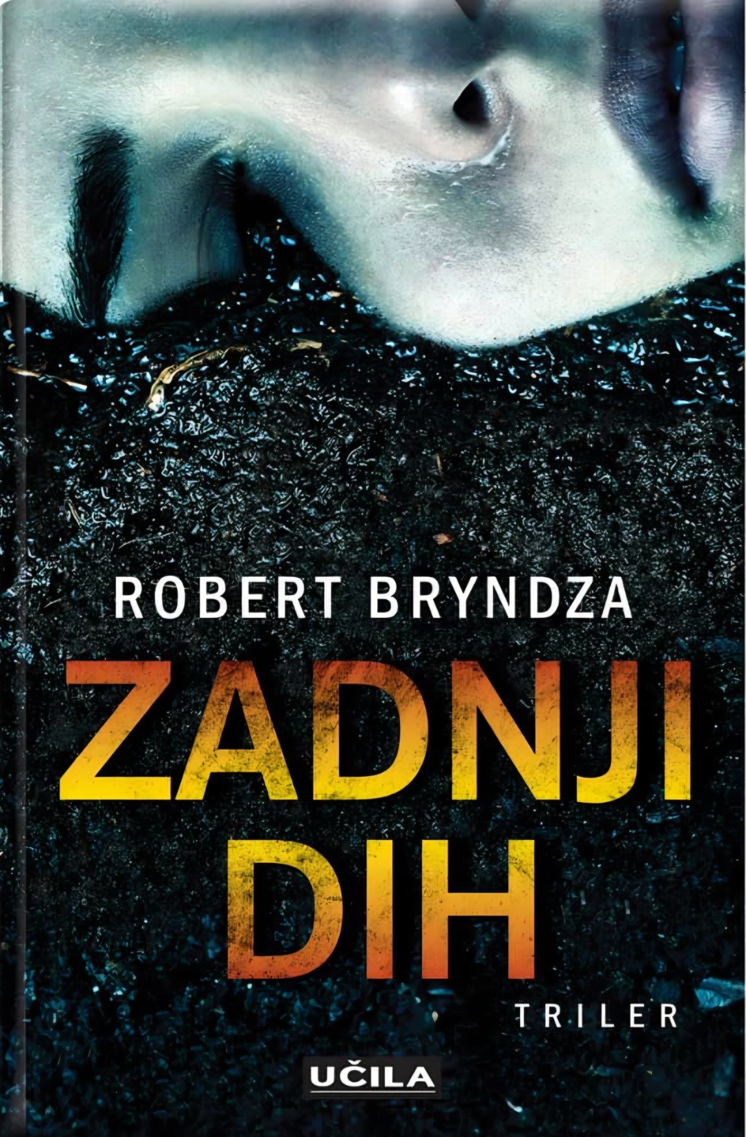 Zadnji dih (Erika Foster #4)
