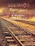 Side Tracks Music Hall by Bud Gambrell