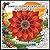 Simple Flower Designs: A Bo...