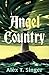 Angel Country by Alex T. Singer