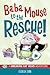 Baba Mouse to the Rescue!: A Breaking Cat News Adventure