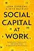 Social Capital at Work by John Burrows