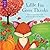 Little Fox Gives Thanks: Discovering God's Gifts of Gratitude and Wonder (Forest of Faith Books)