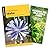 Foraging Idaho Guidebook and Folding Pocket Guide Bundle: Finding, Identifying, and Preparing Edible Wild Foods