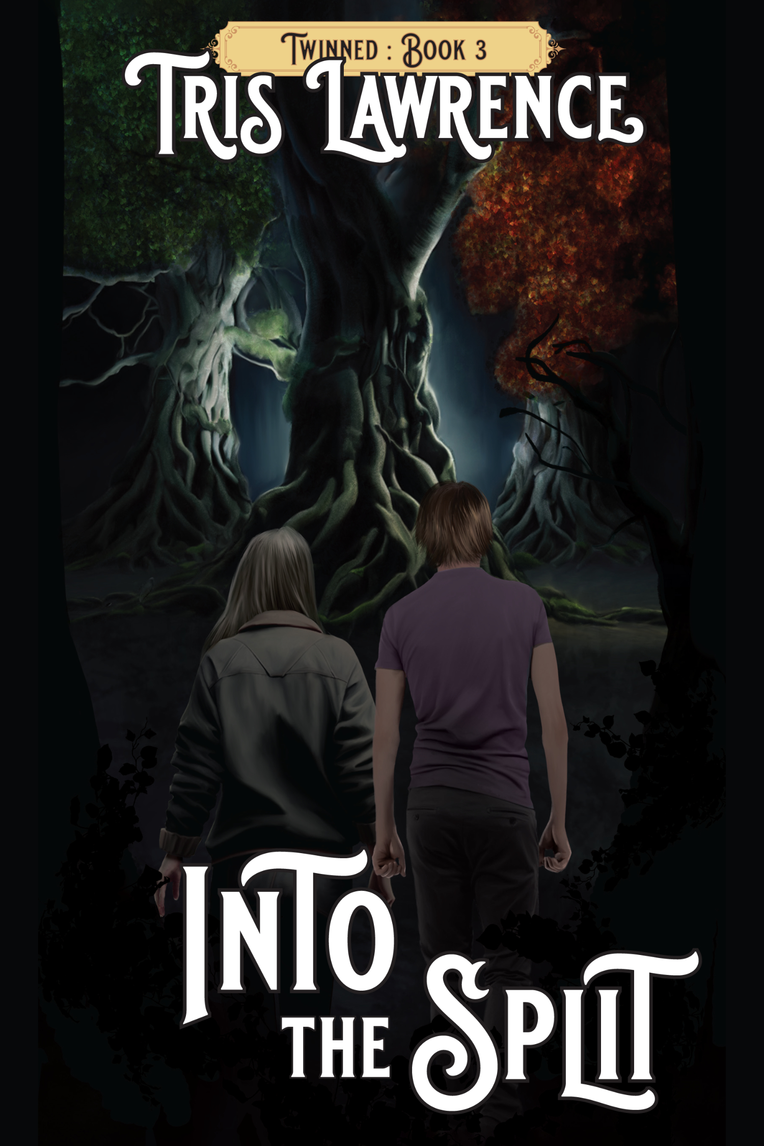 Into the Split (Paperback)